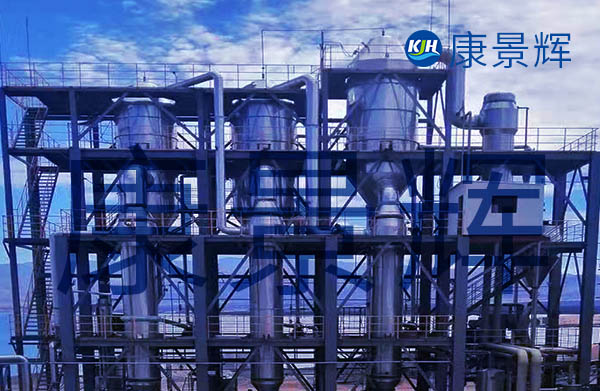 产固量2.5t/h溴化钠三效蒸发器
