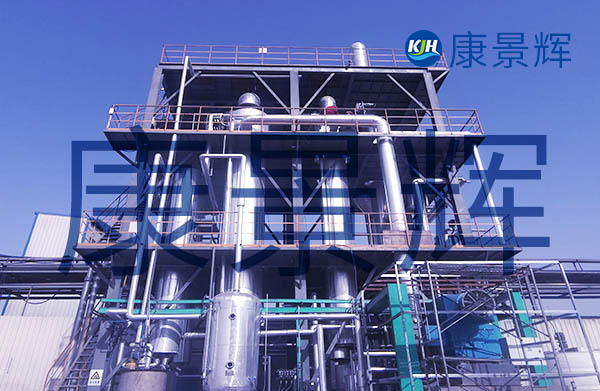 处理量6T/H的杂盐分离双效蒸发器