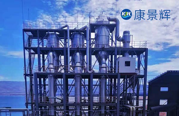 3t/h丁二酸三效蒸发器