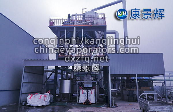 处理量10T/H硫酸钠蒸发结晶器